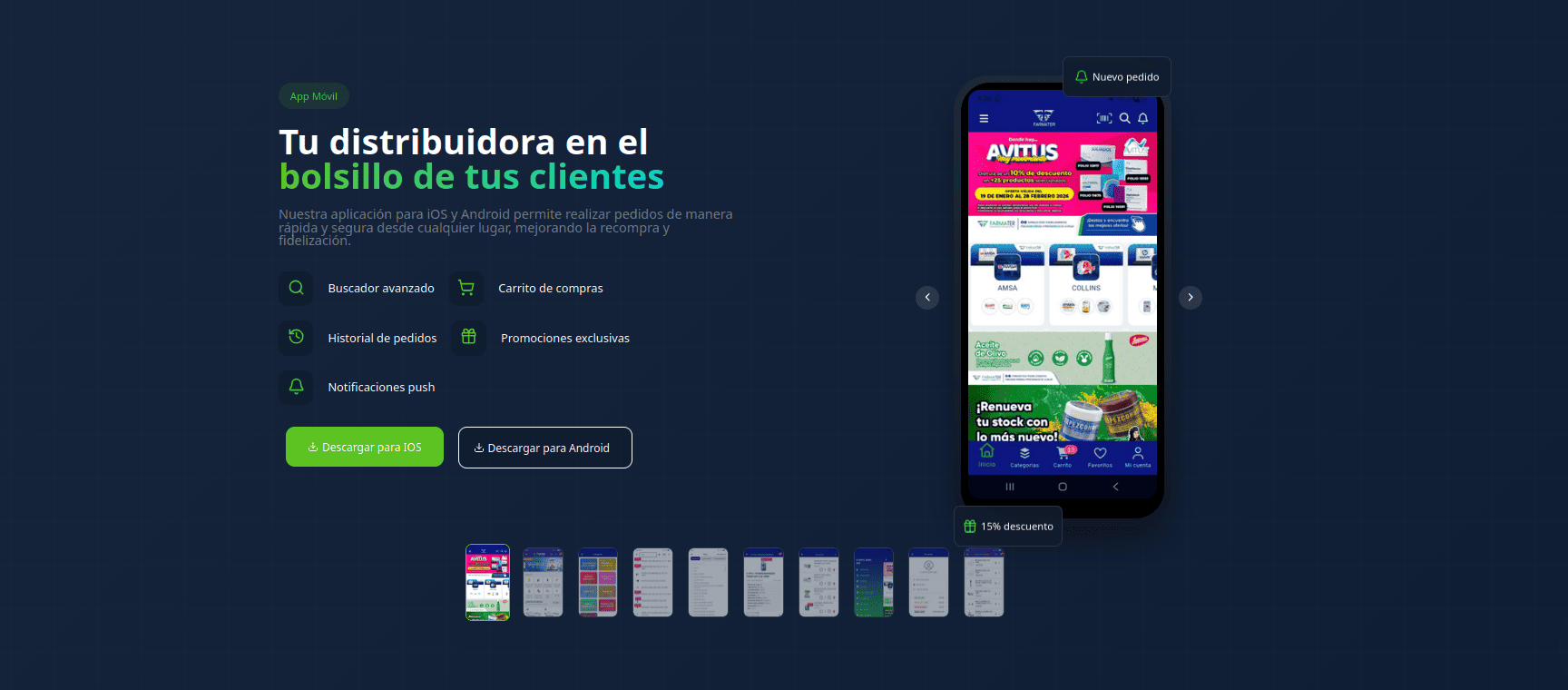 Project screenshot